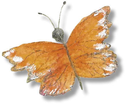 Schmetterling Deko